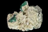 Aragonite Encrusted Fluorite Crystal Cluster - Rogerley Mine #143042-2